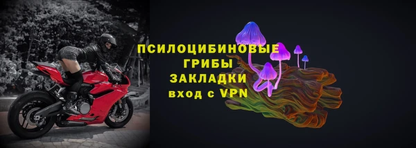 сатива Богородск