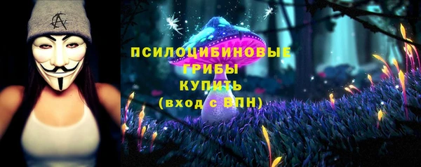ГАЛЛЮЦИНОГЕННЫЕ ГРИБЫ Ступино