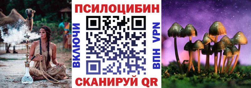 где найти наркотики  Буйнакск  Галлюциногенные грибы прущие грибы 